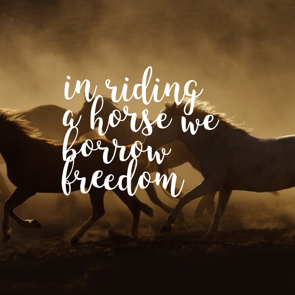 in riding a horse we borrow freedom