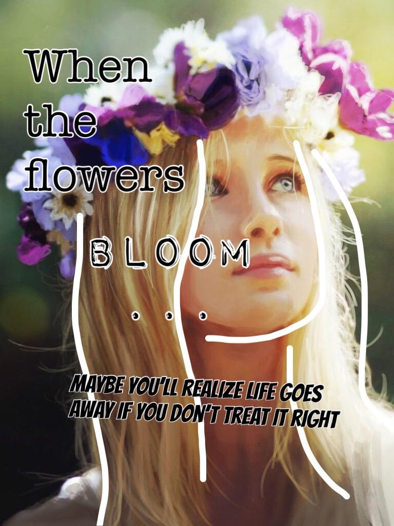 Bloom ...