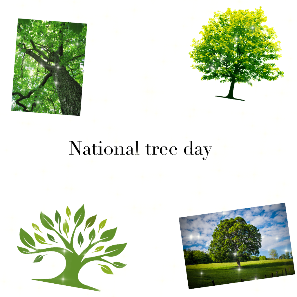 National tree day