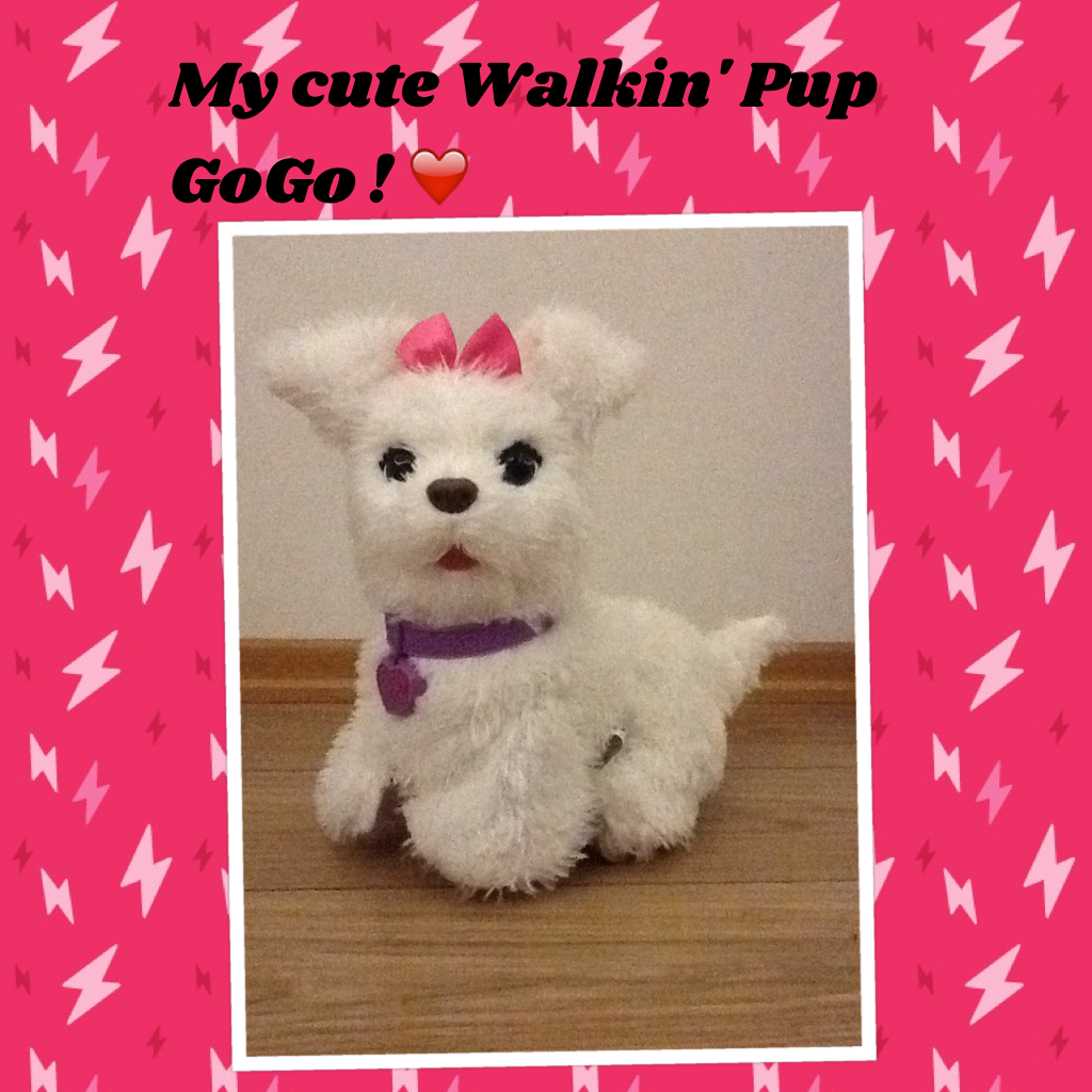 My cute Walkin' Pup GoGo ! ❤️