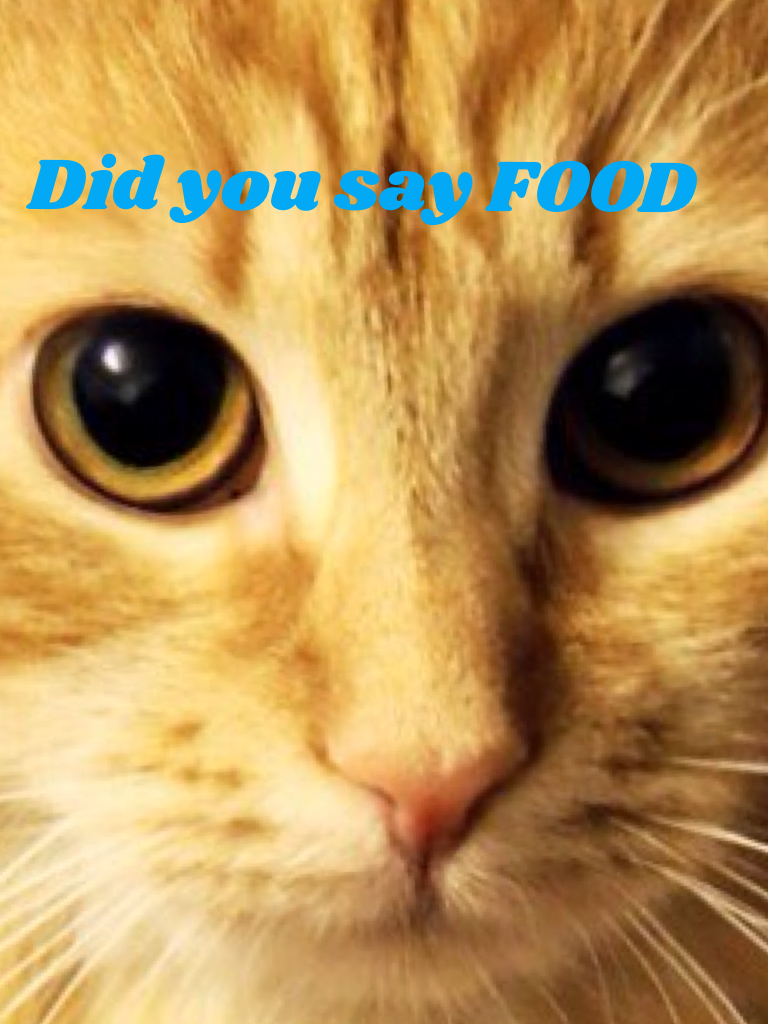 Did you say FOOD 