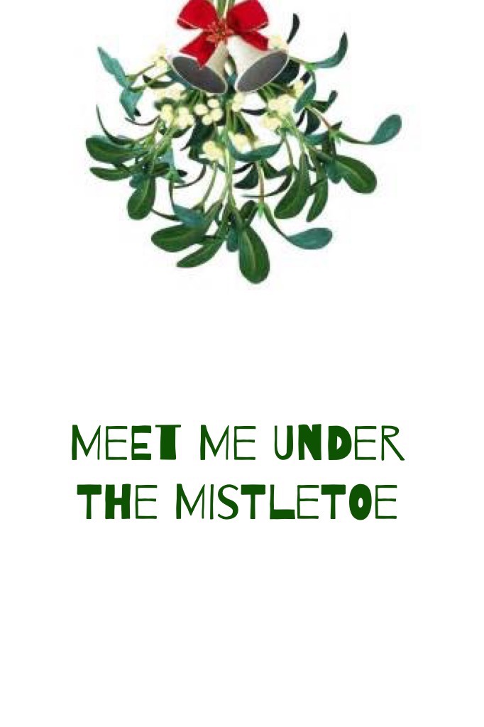 mistletoe 