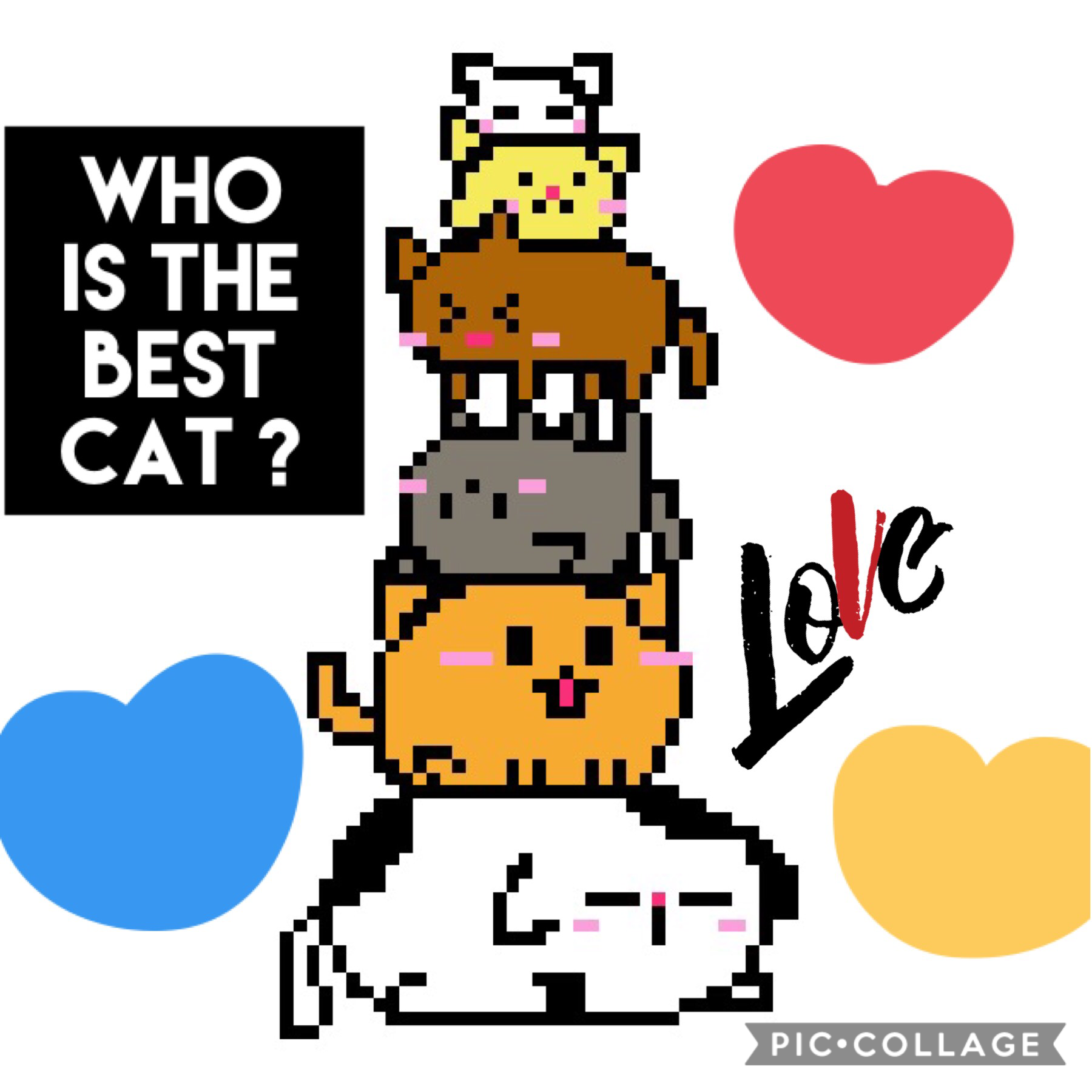 WHO IS TEH BEST CAT ? WRITE HERE 