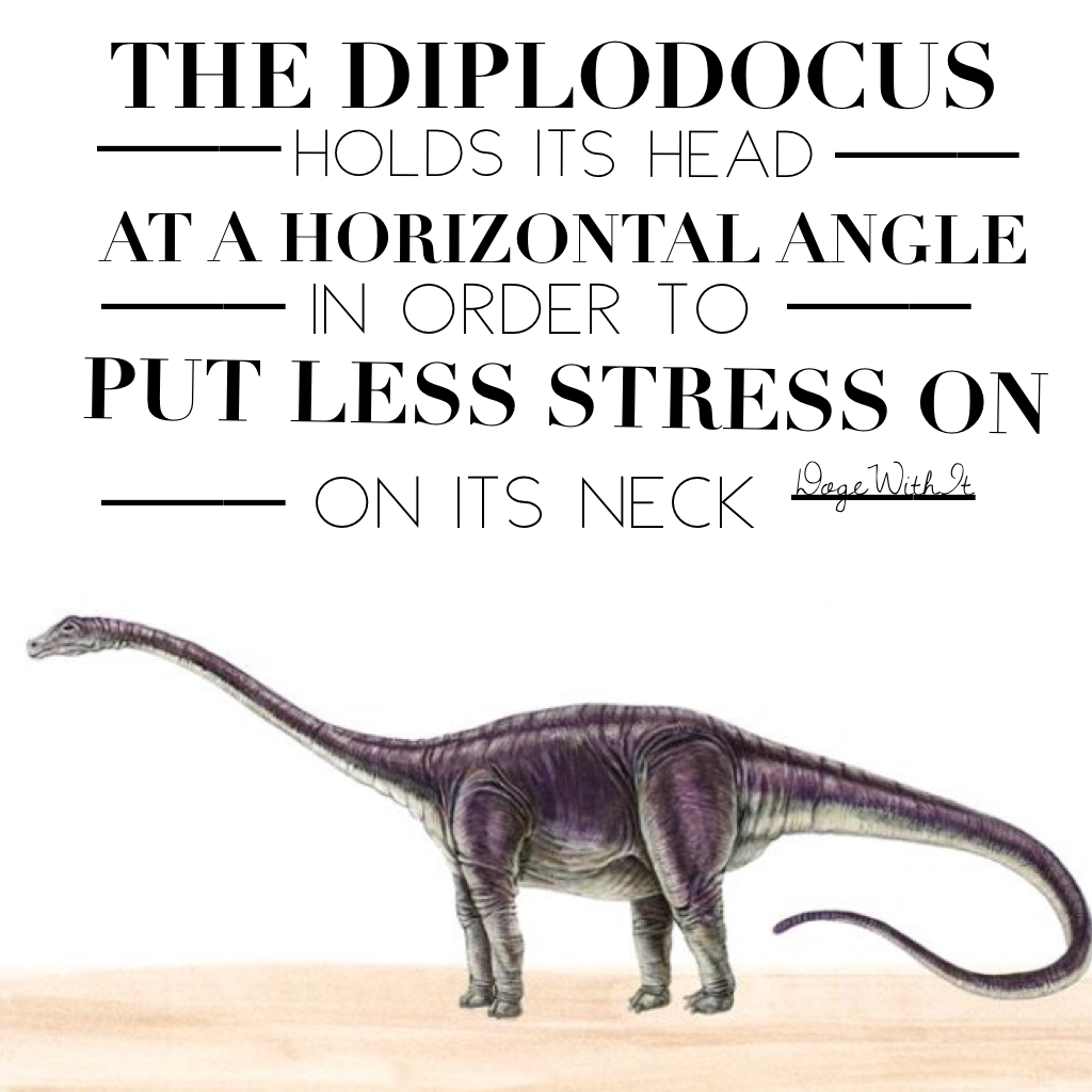 I'm bored in choir so here's a dino fact. Click for more

Their neck extends upwards about 30 feet so no wonder. Also the diplodocus eats smol shrubs like 24/7 so it's more convenient🐙