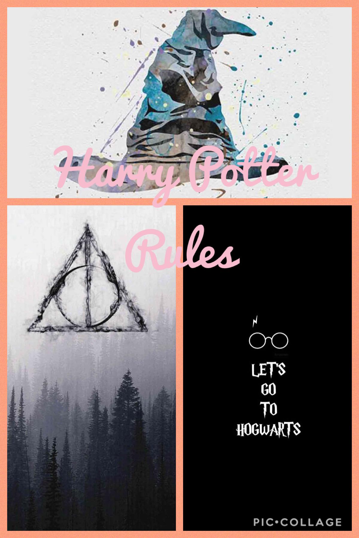 Harry Potter Rules 