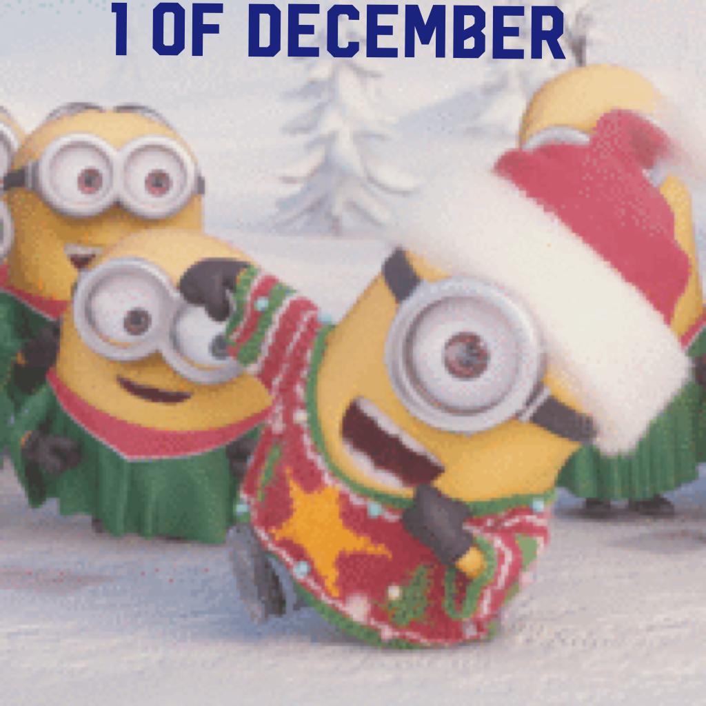 1 of December like...