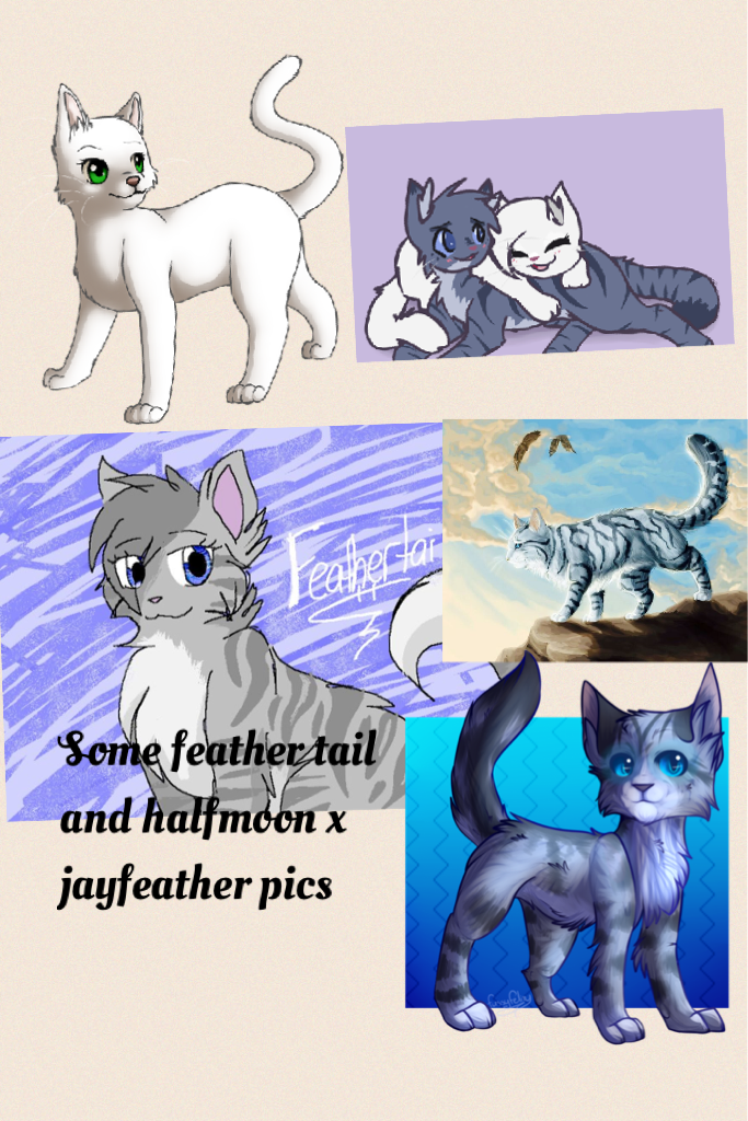 Some feather tail and halfmoon x jayfeather pics