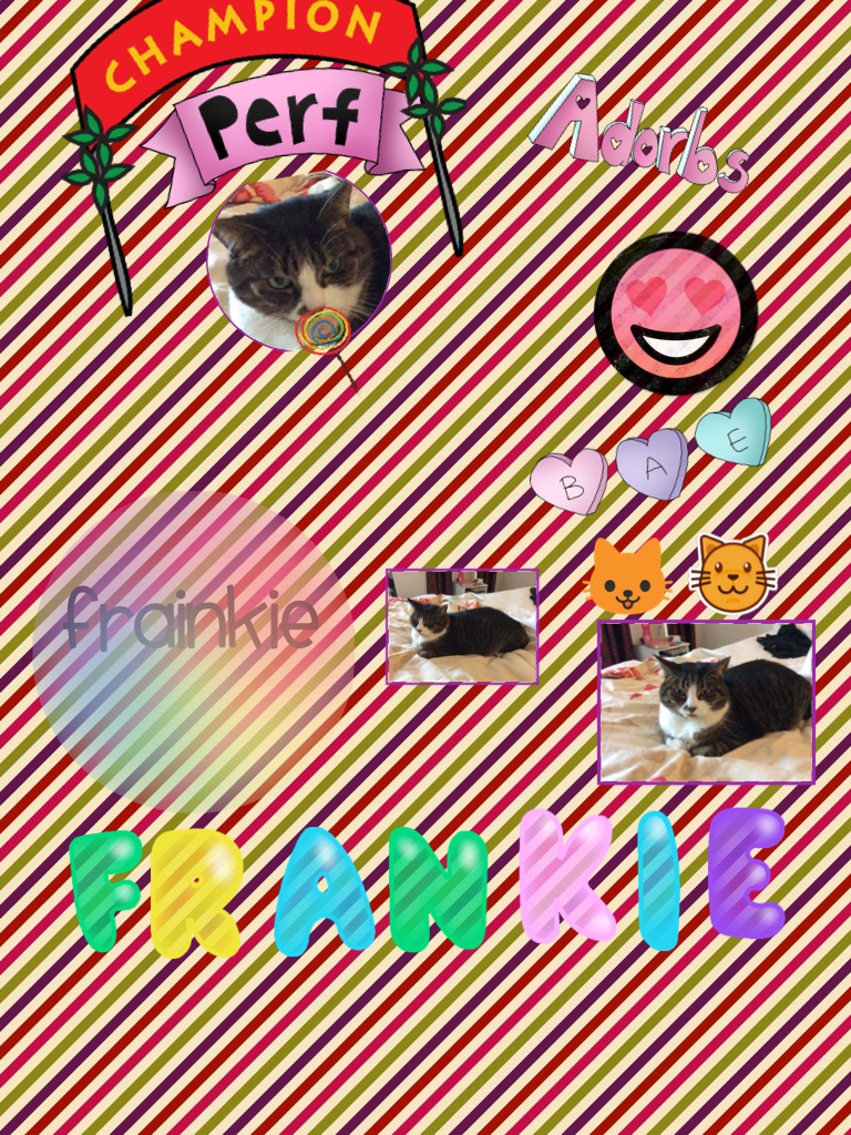 Frainkie this is my cat again this is what I made at school