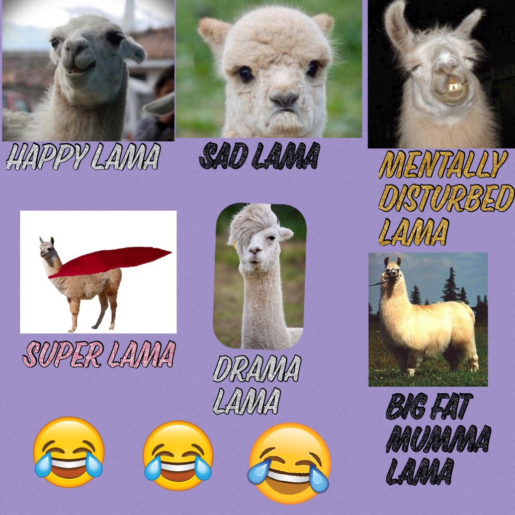 Love the lama song 😂😂😂😂😂