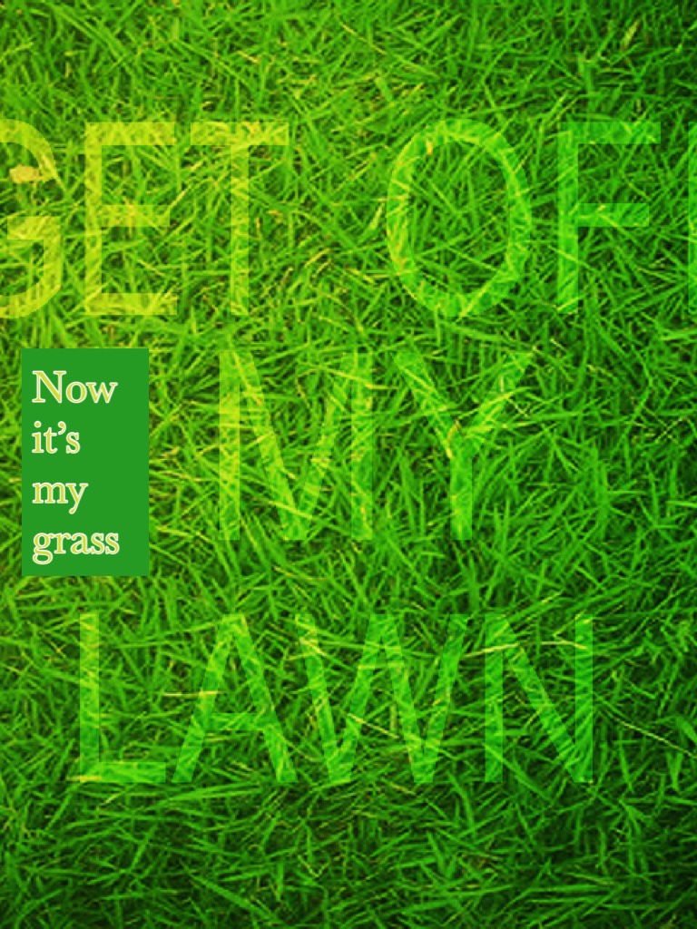 Now it’s my grass