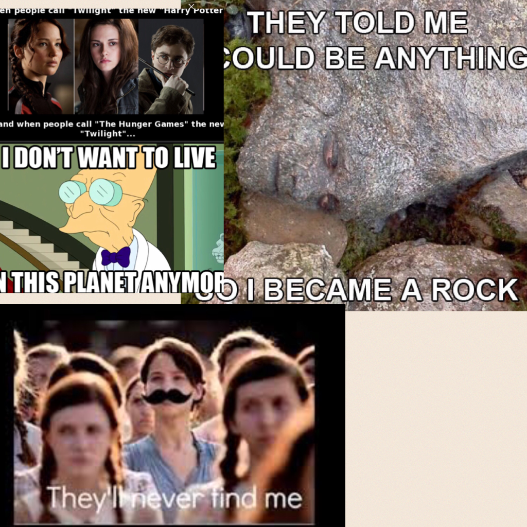 Memes Hunger Games
