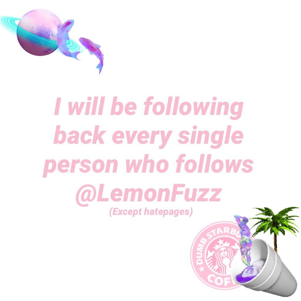 I will be following back every single person who follows @LemonFuzz💞