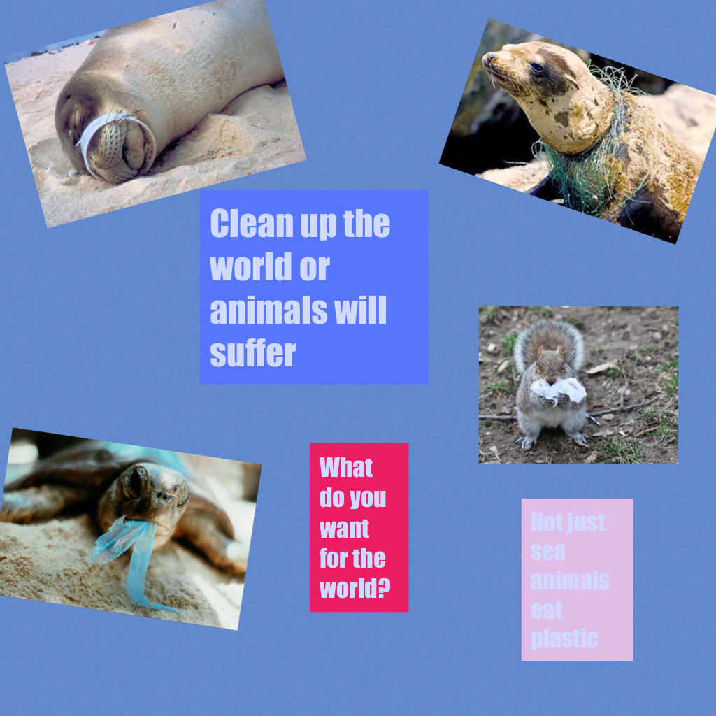 Clean up the world or animals will suffer 
