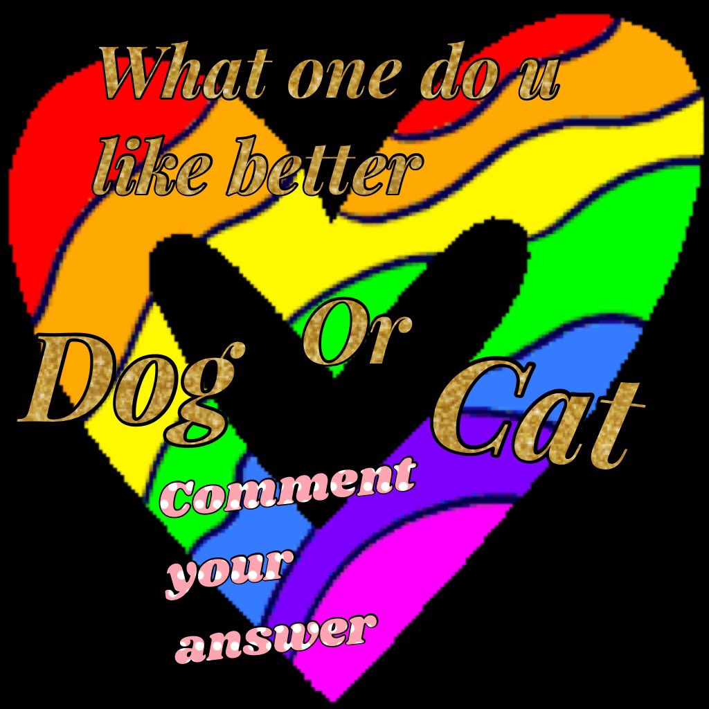 Cat or dog 