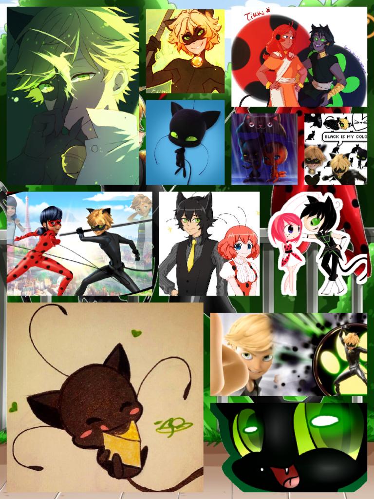 I've joined the fandom of
Miracoulus: tales of Ladybug and Cat Noir
