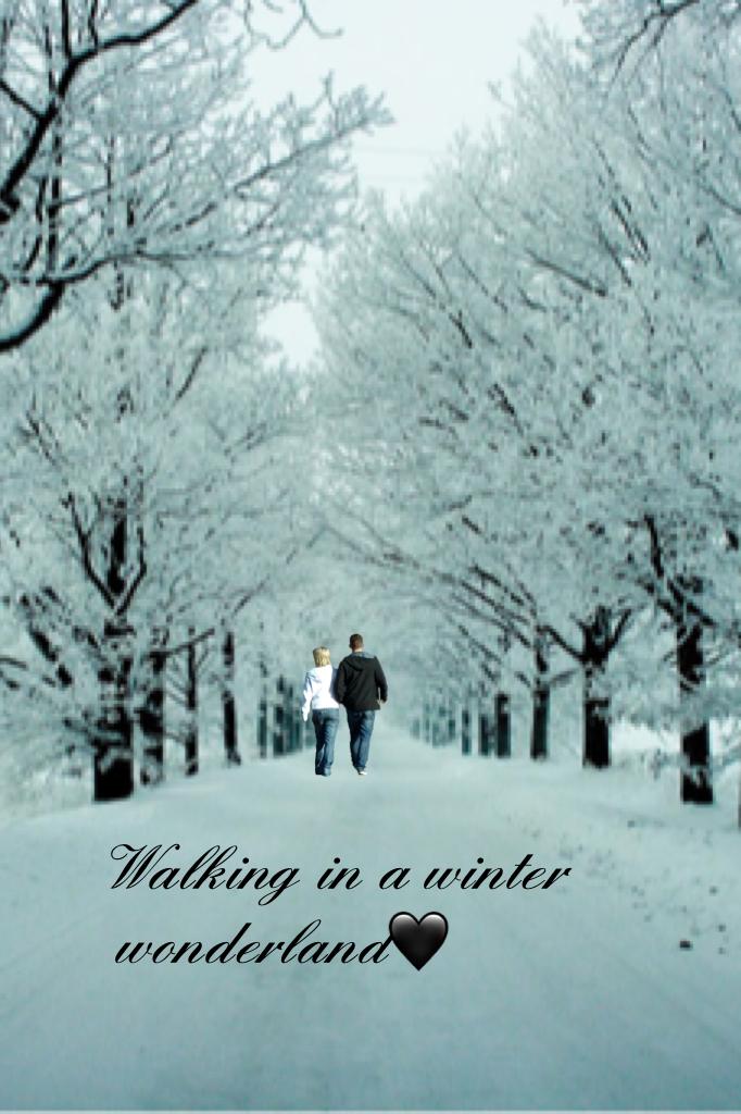 Walking in a winter wonderland🖤
