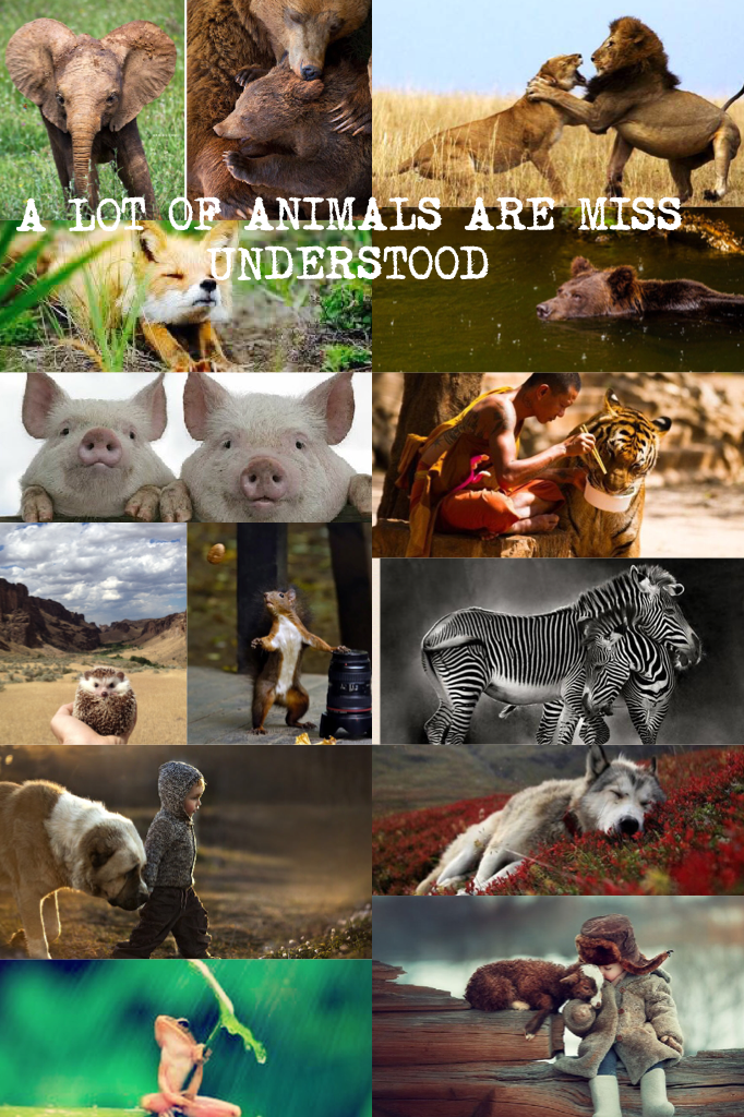 A LOT OF ANIMALS ARE MISS UNDERSTOOD