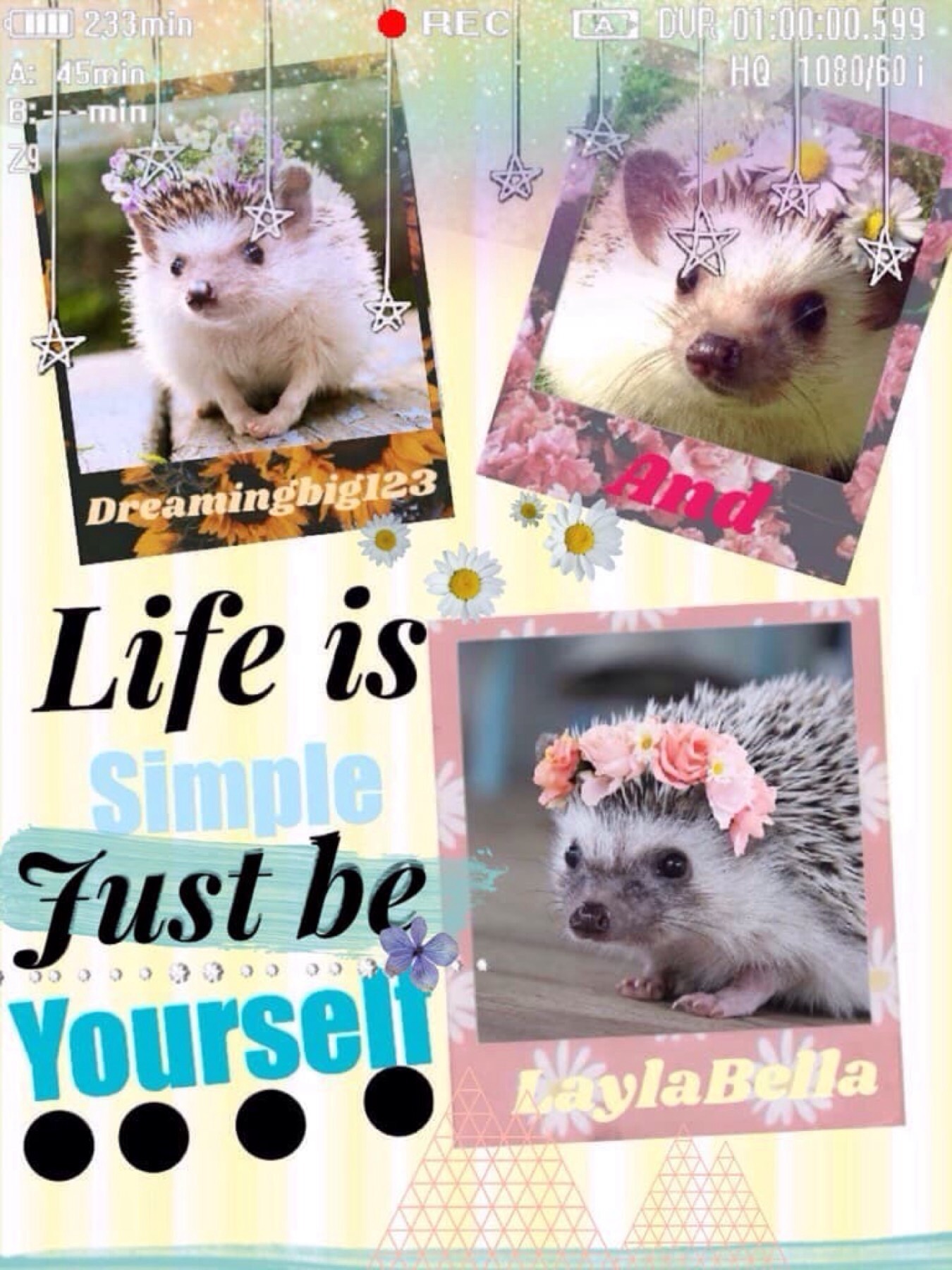 Tap collab with
Dreamingbig123 and I 
Life is simple just be yourself 