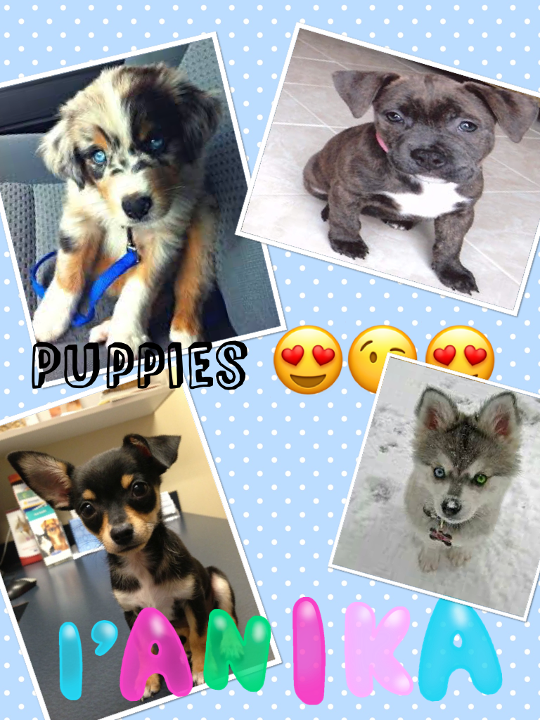 Puppies 😍😘😍