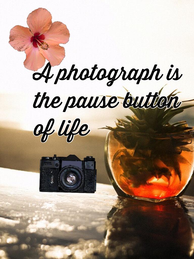 A photograph is the pause button of life