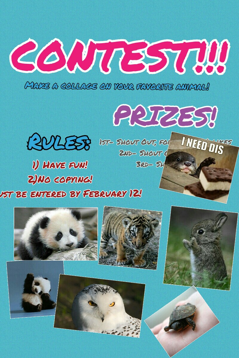 Contests!!!