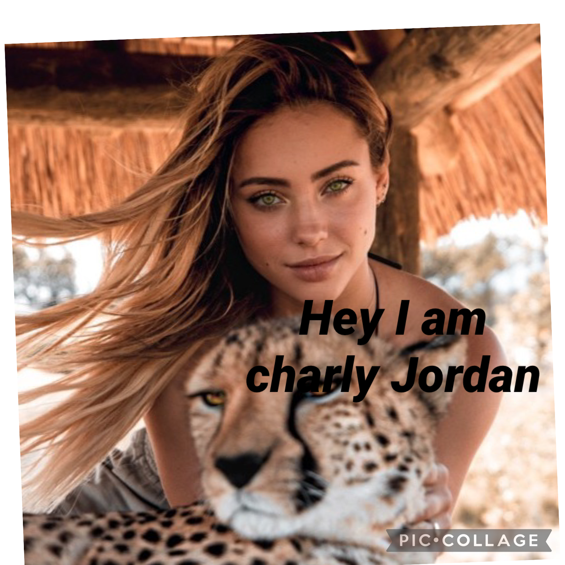 Collage by charlyjordan