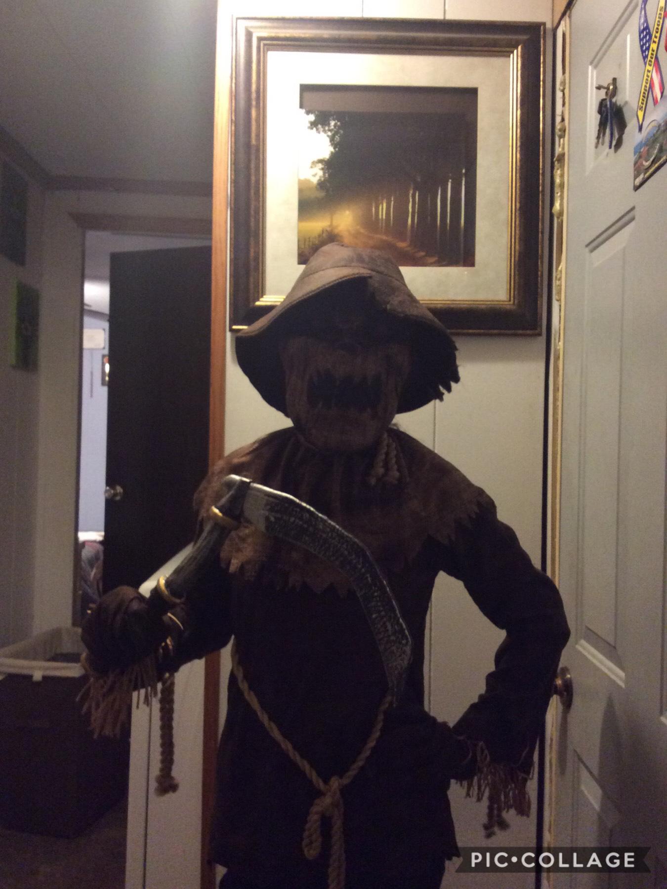 My Halloween costume. A Wicked Scarecrow. Also a boys outfit because none of the girls outfits were cool