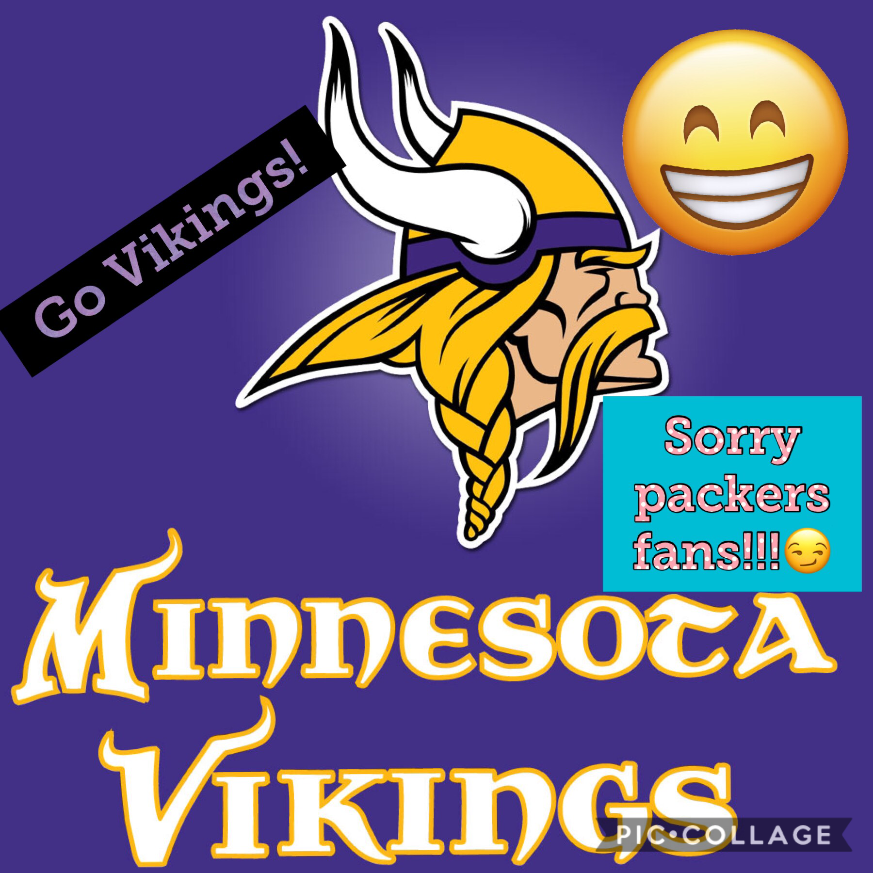 Vikings won!!!
