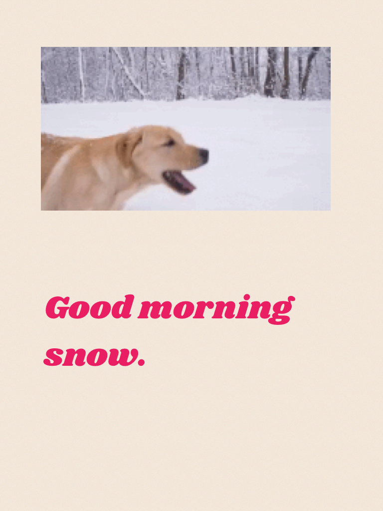 Good morning snow.