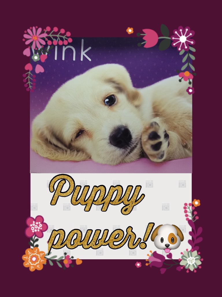 Puppy power!🐶