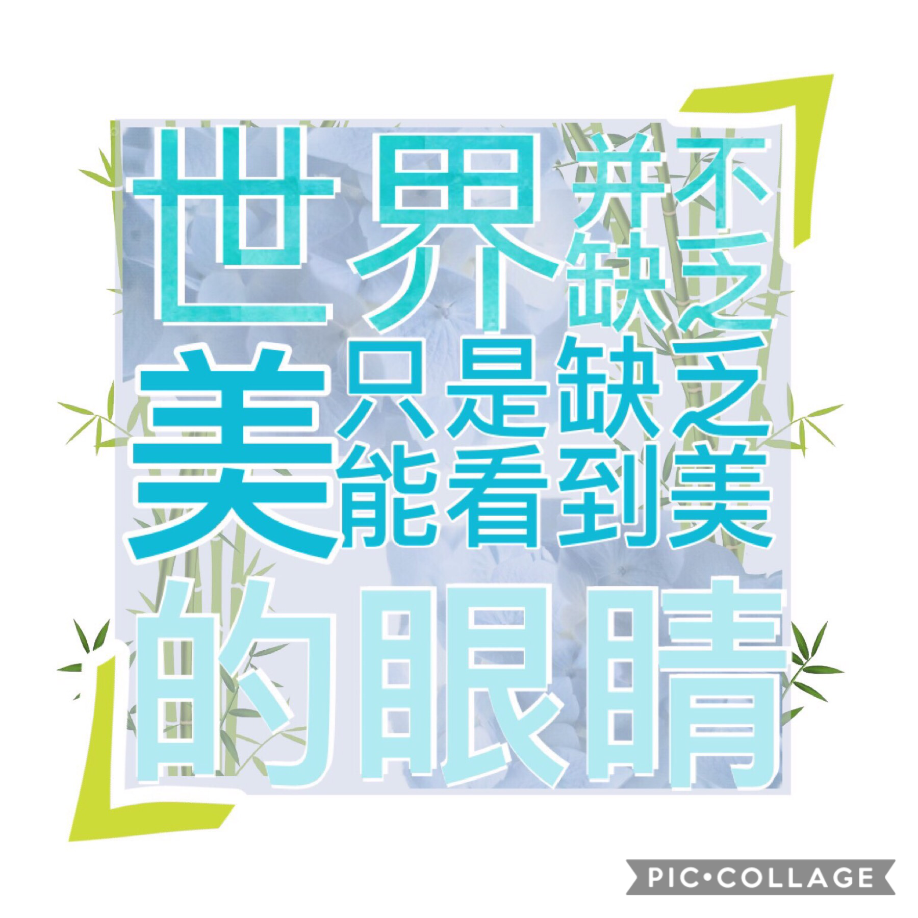 Hi friends I’m having an inspo block so There’s that. Also haven’t posted so.. 

The text says “世界并不缺乏美，只是缺乏能看到美的眼睛” 

It means that the world is pretty but we lack the eyes that can notice that beauty 