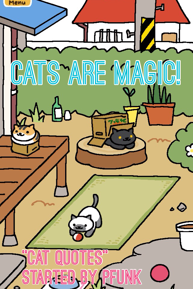 Cats are Magic!