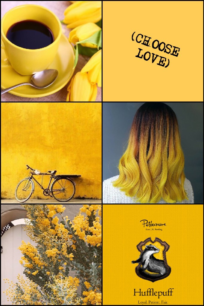Tap💛🖤
Lol, I have done way too many Hufflepuff aesthetics🖤💛 
Qotd: What’s your Hogwarts House?
Aotd: (even though you probably can tell) HUFFLEPUFF💛🖤💛🖤