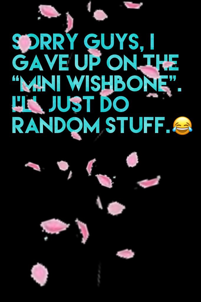 Sorry guys, I gave up on the “Mini Wishbone”. I’Ll just do random stuff.😂
