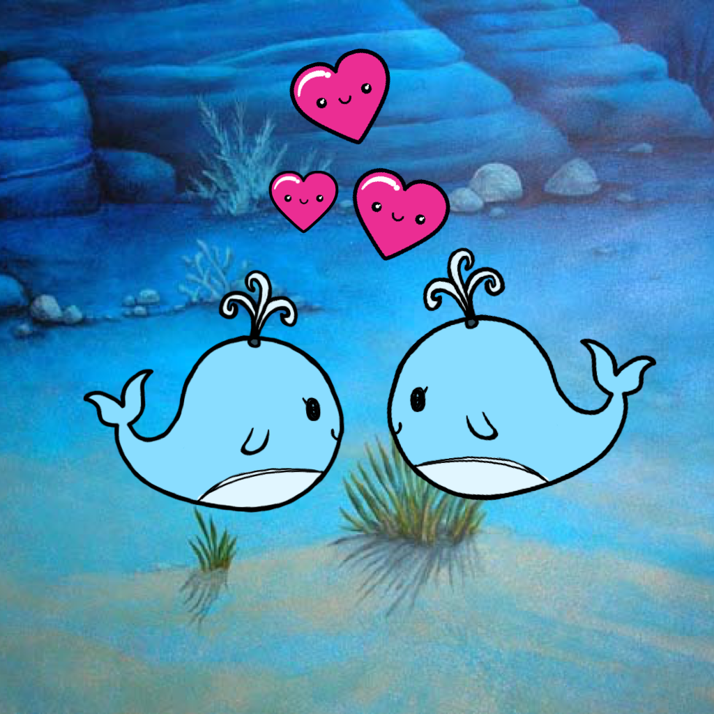 Cute whales love each other 