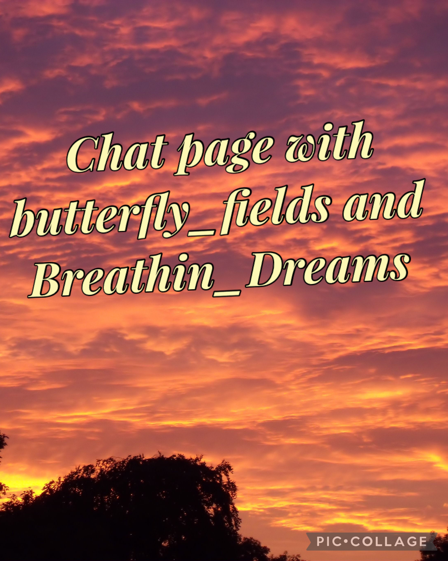 4.11.21 Chat page with butterfly_fields 