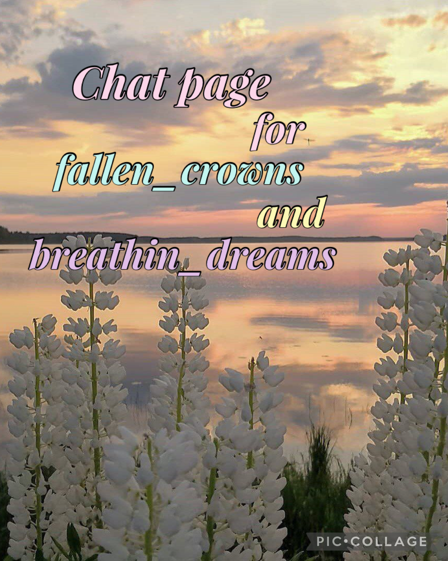 6.1.24 Chat page with fallen-crowns