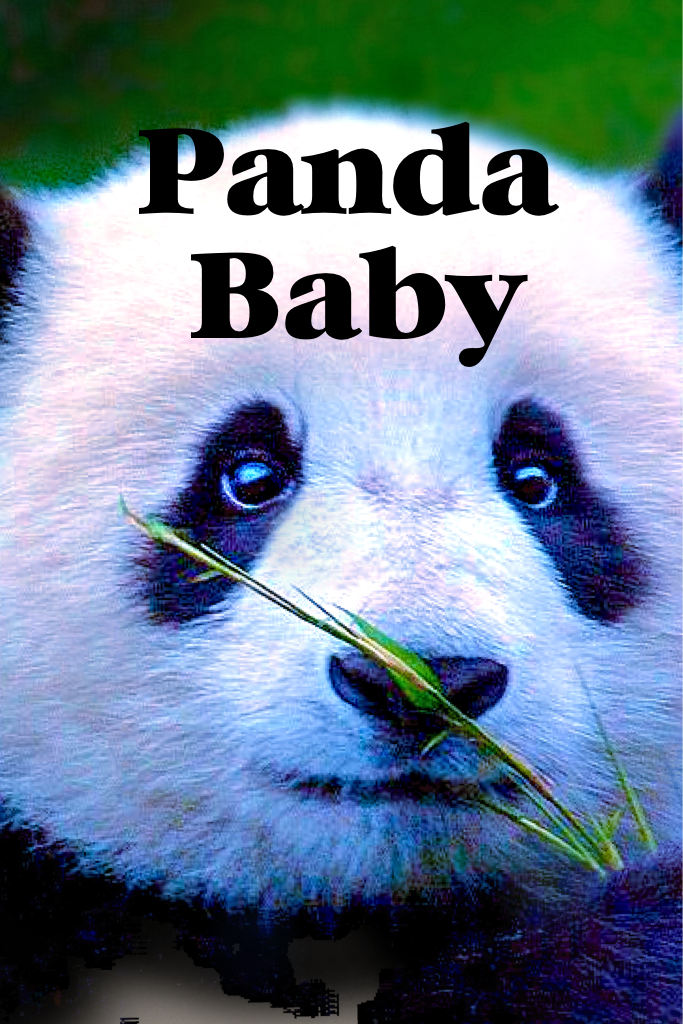 Panda 
 Baby