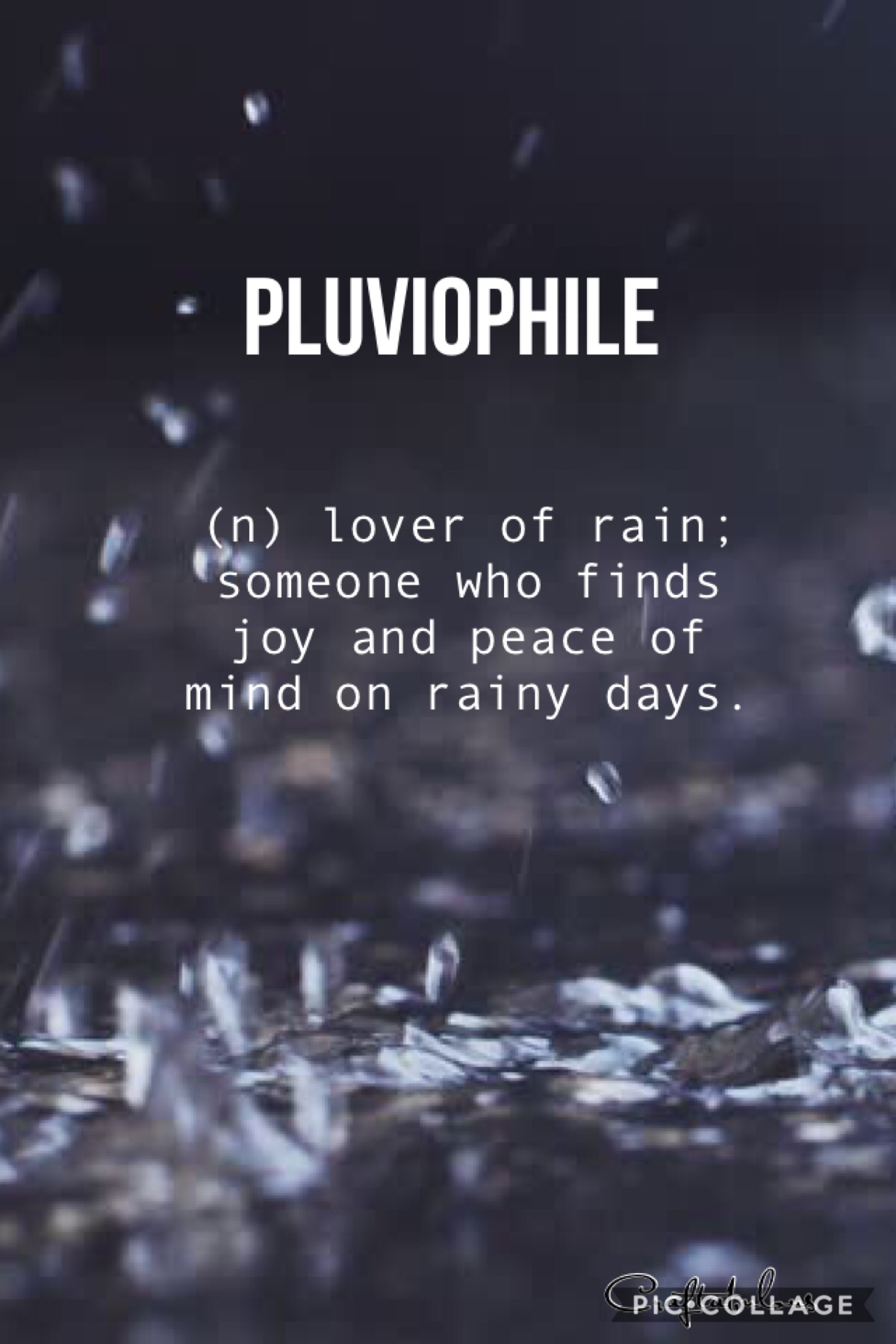 Are you a pluviophile???