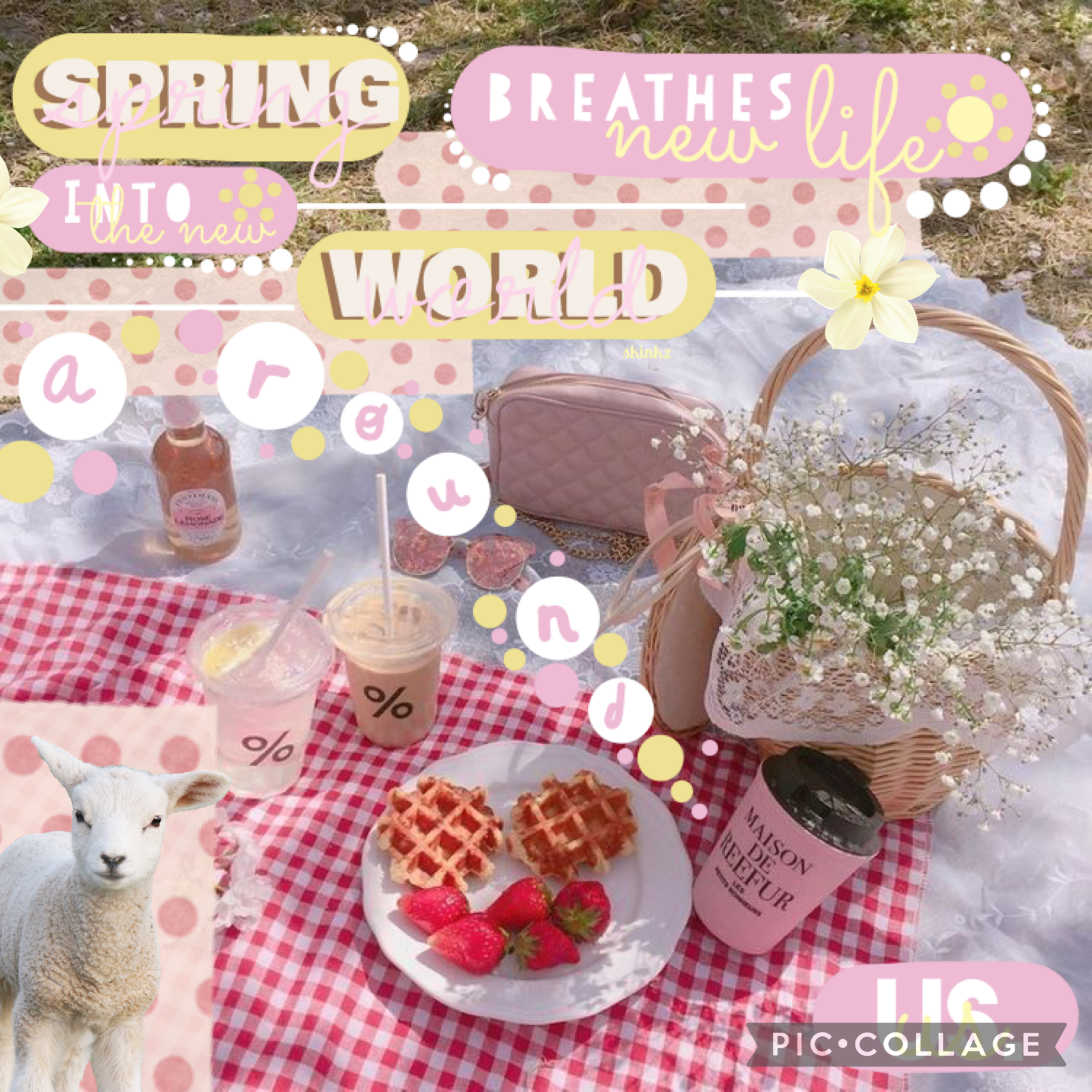 i really love the new spring sticker sets!

QOTD: what’s your favorite thing about spring?

AOTD: That winter is finally over lol!

#spring #springstickers #foryou #explorepage #piccollage #stickers #pastel 