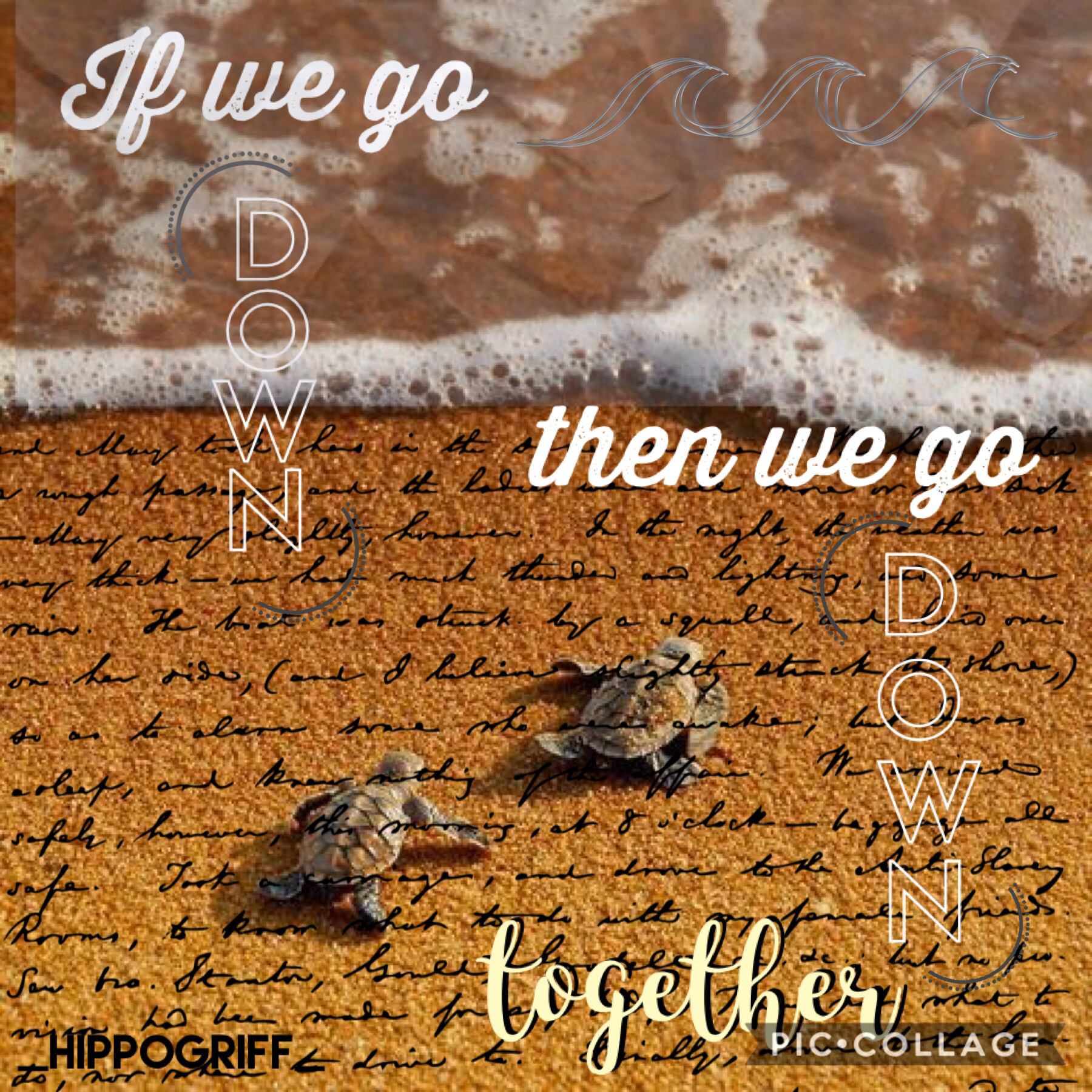 Love this song, “Paris”! Love turtles! TAP! 