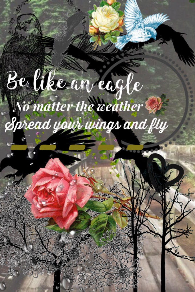 🦅 TAPPY 🦅




I love this quote. I Made it myself!!!

What do you guys think? 

Comment your rating and say what I could do better 🤗

I had Ava's help (@coquillage)

She kept texting me ideas

I LOVE YOU😍❤️💜💗💓💝❣️😘

never be anyone but you 

BYEEEEEEEE