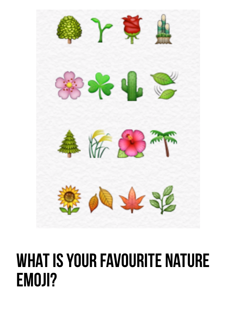 What is your favourite nature emoji?💕🌸💟