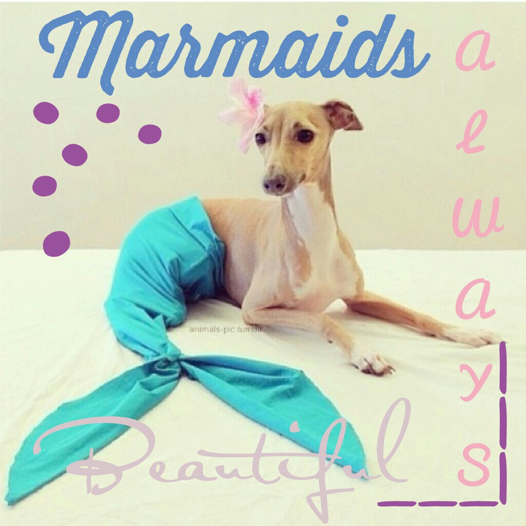 Marmaids always beautiful