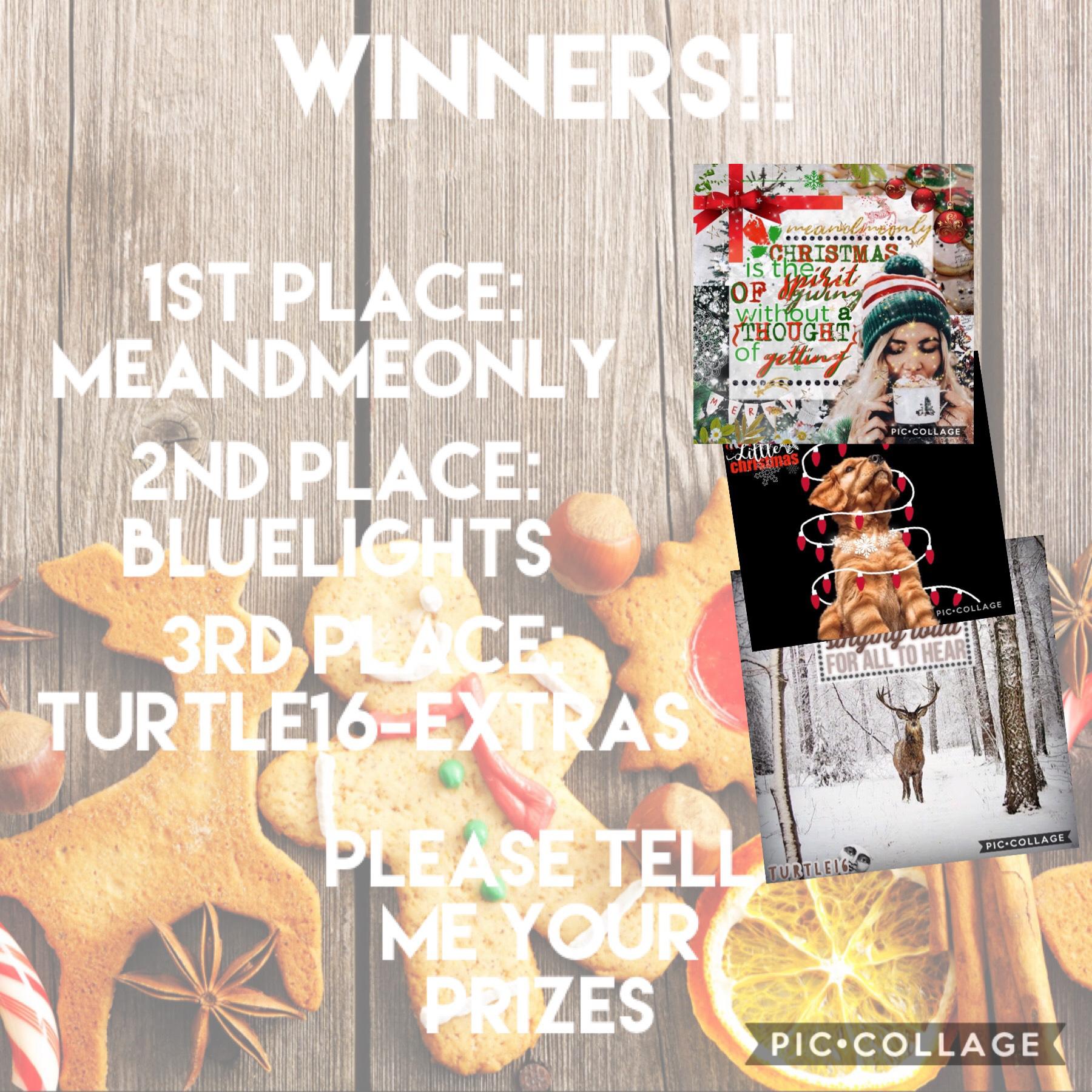 Congratulations to everyone who entered!! This was a tough contest to judge. Honestly. You guys are all so talented!!! Merry Christmas!🎄 