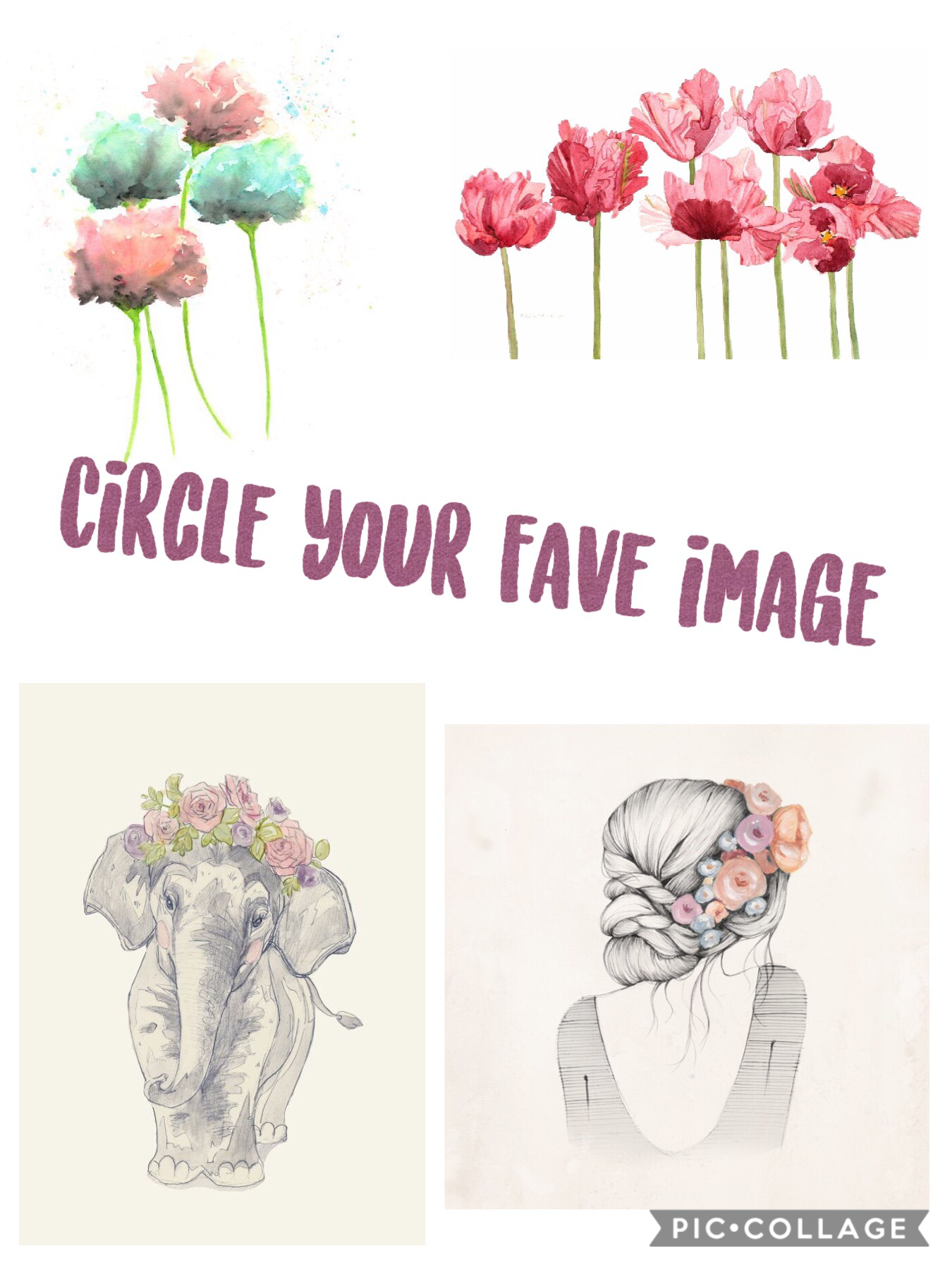 Circle your favourite floral image. Please follow em and tell others about my page. Thx and bye