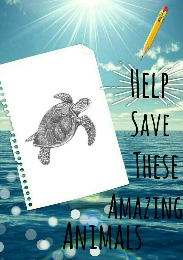 I know I have already posted this, but I wanted to post it again. save turtles!