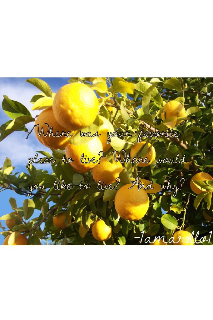 ☀️☀️Click!!☀️☀️
I lived in Florida for a while and where I lived had a lemon tree. It’s such a shame of what happened to Florida. 😞Although my town didn’t get hit bad bc I lived in Orlando.☀️💛