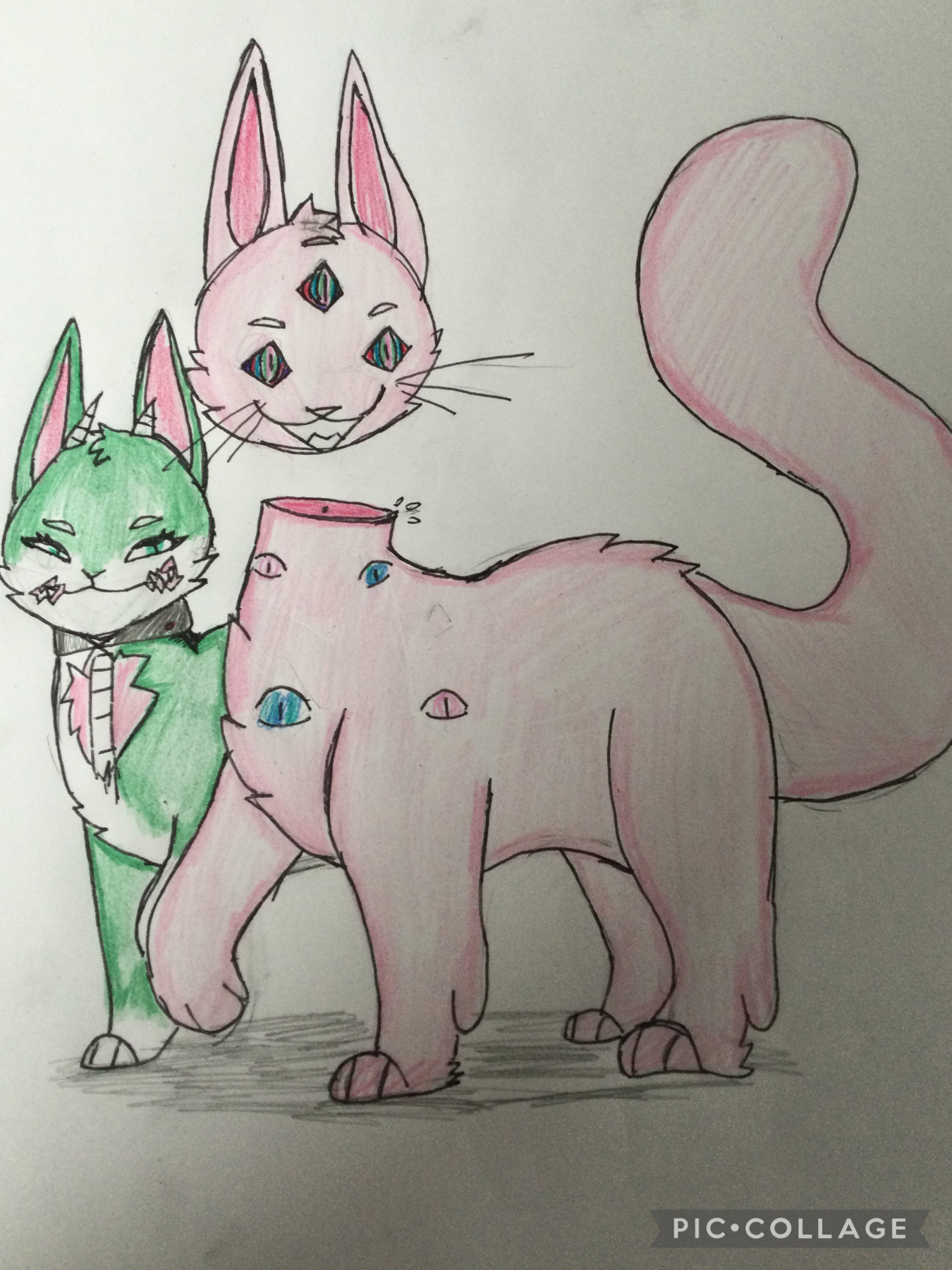 |tap| 
Ah it’s been awhile how is everyone. These two are old ocs I’ve never used but I thought it would be fun. The big cats name is Cain and the Green cats name is Hecate. Hecate is a zombie cat while Cain is idk a weird pink cat who’s crazy lol. They a