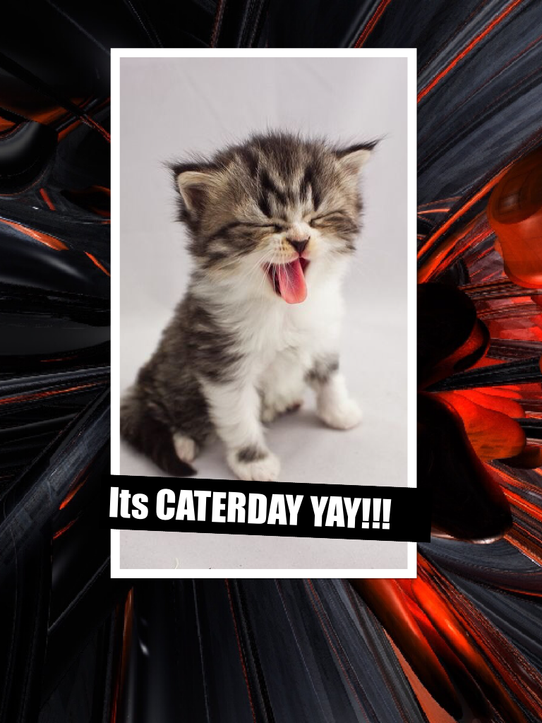 Its CATERDAY YAY!!!